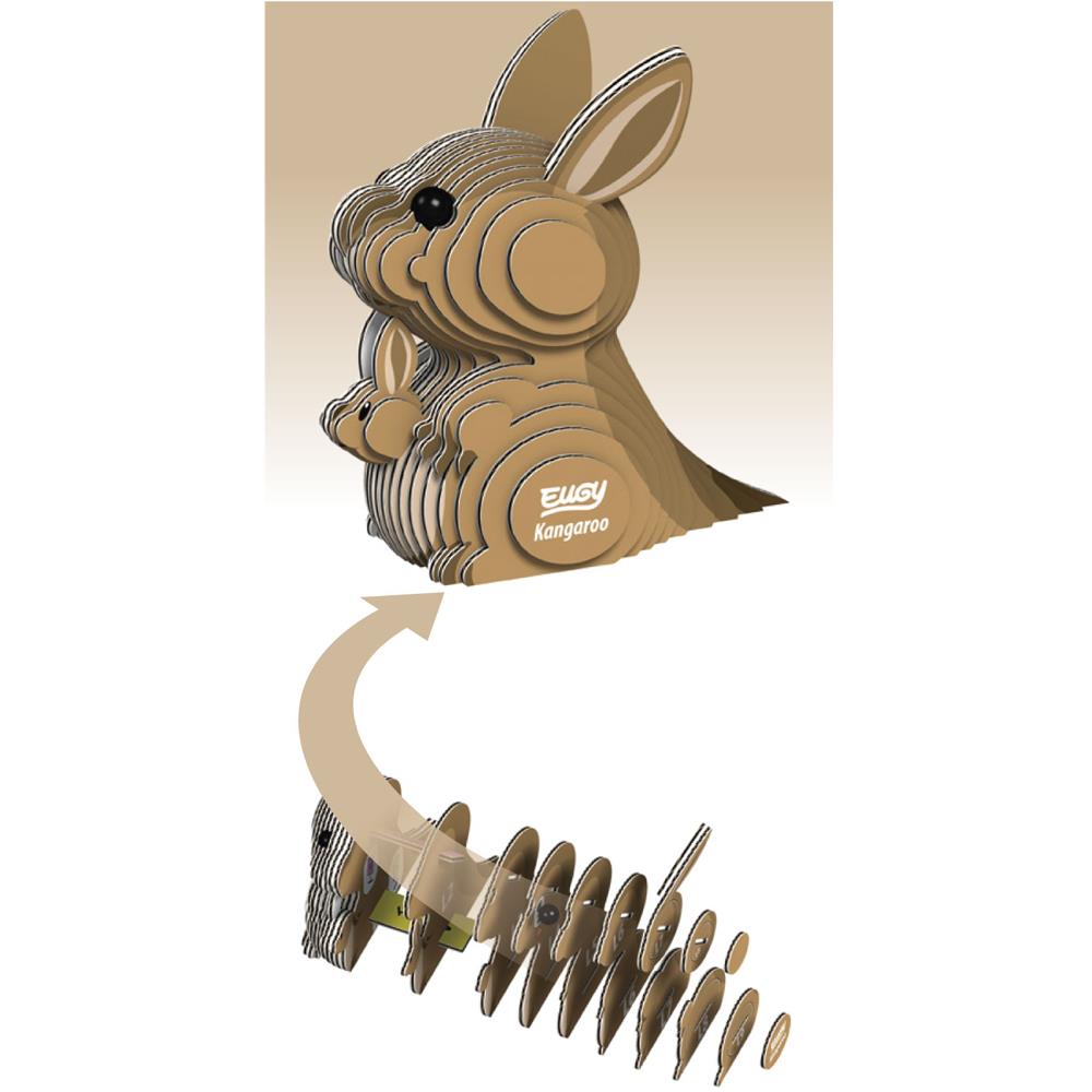 Brainstorm Kangaroo